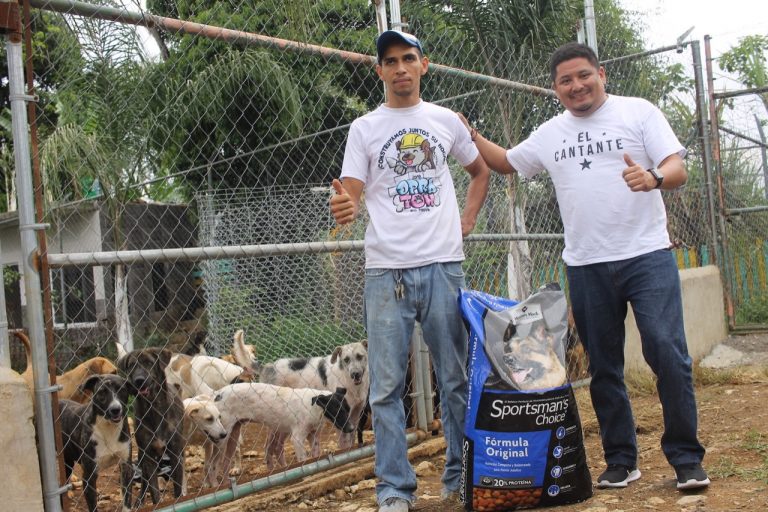 Necesario, consolidar avances en materia de protección animal en Veracruz: Rubén Ríos